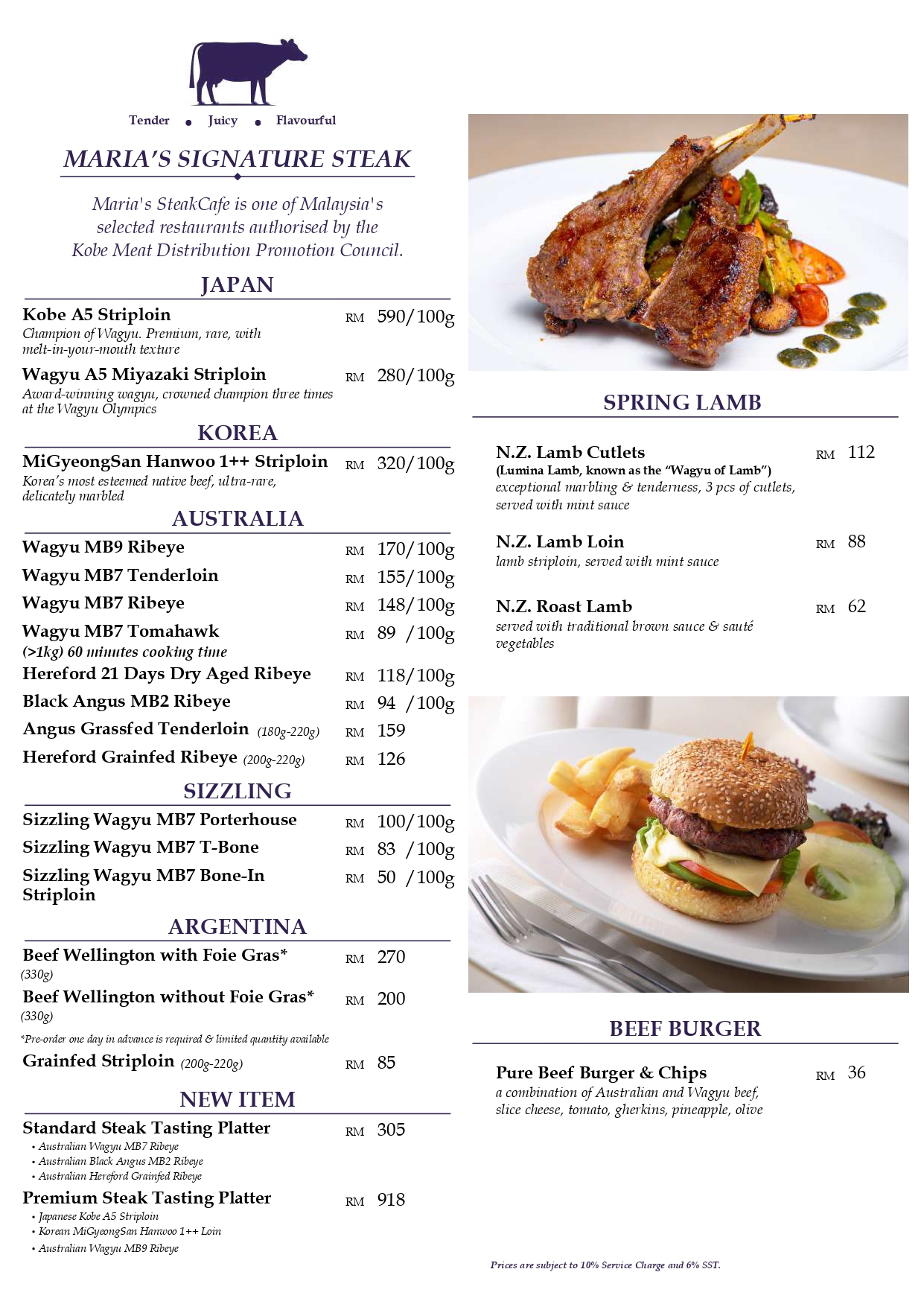 Publish MSC Website Menu_compressed (1)_page-0002